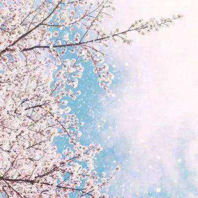 皇冠正规娱乐平台下载手机版